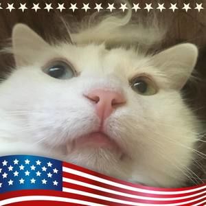 Meet your Posher, Marie